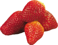 草莓16