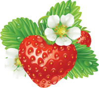 Strawberry with flower and leaves PNG