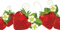 Strawberries PNG 
