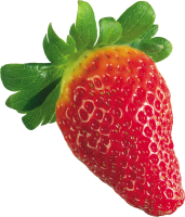 草莓5