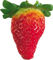 草莓4