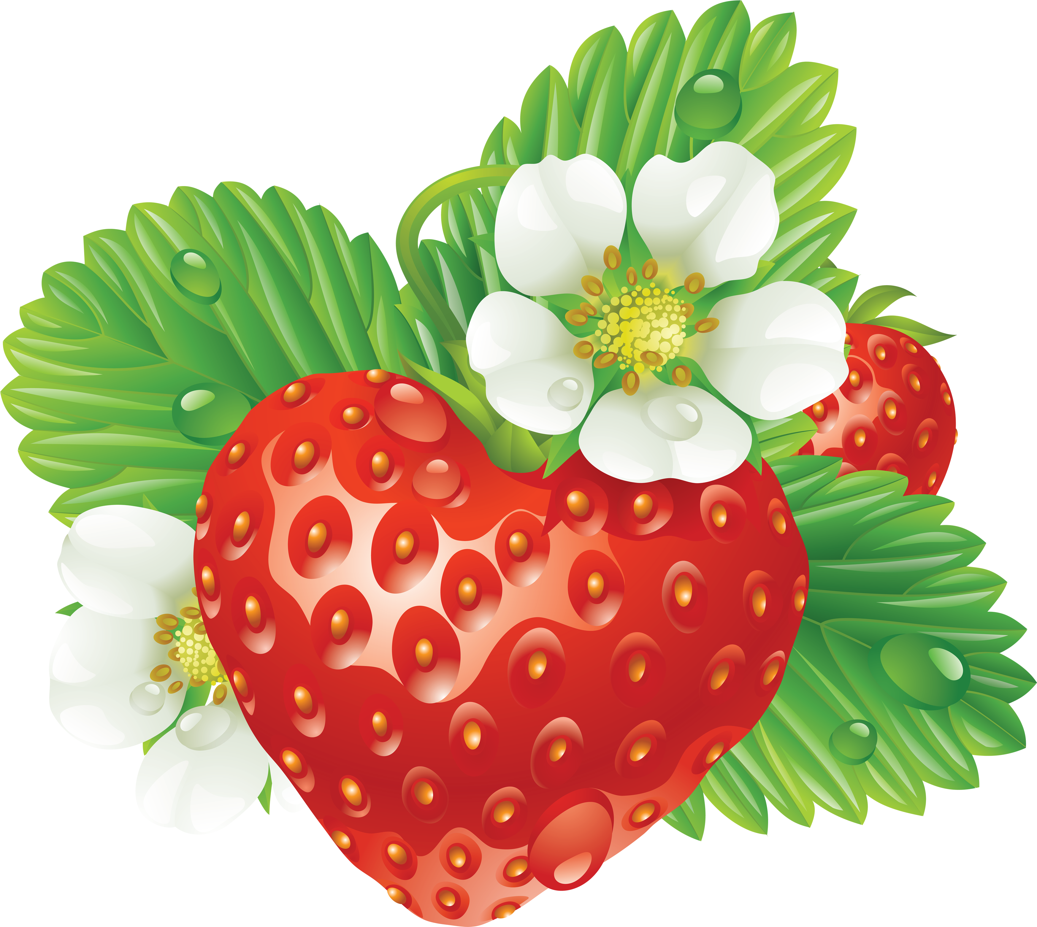 Strawberry with flower and leaves PNG