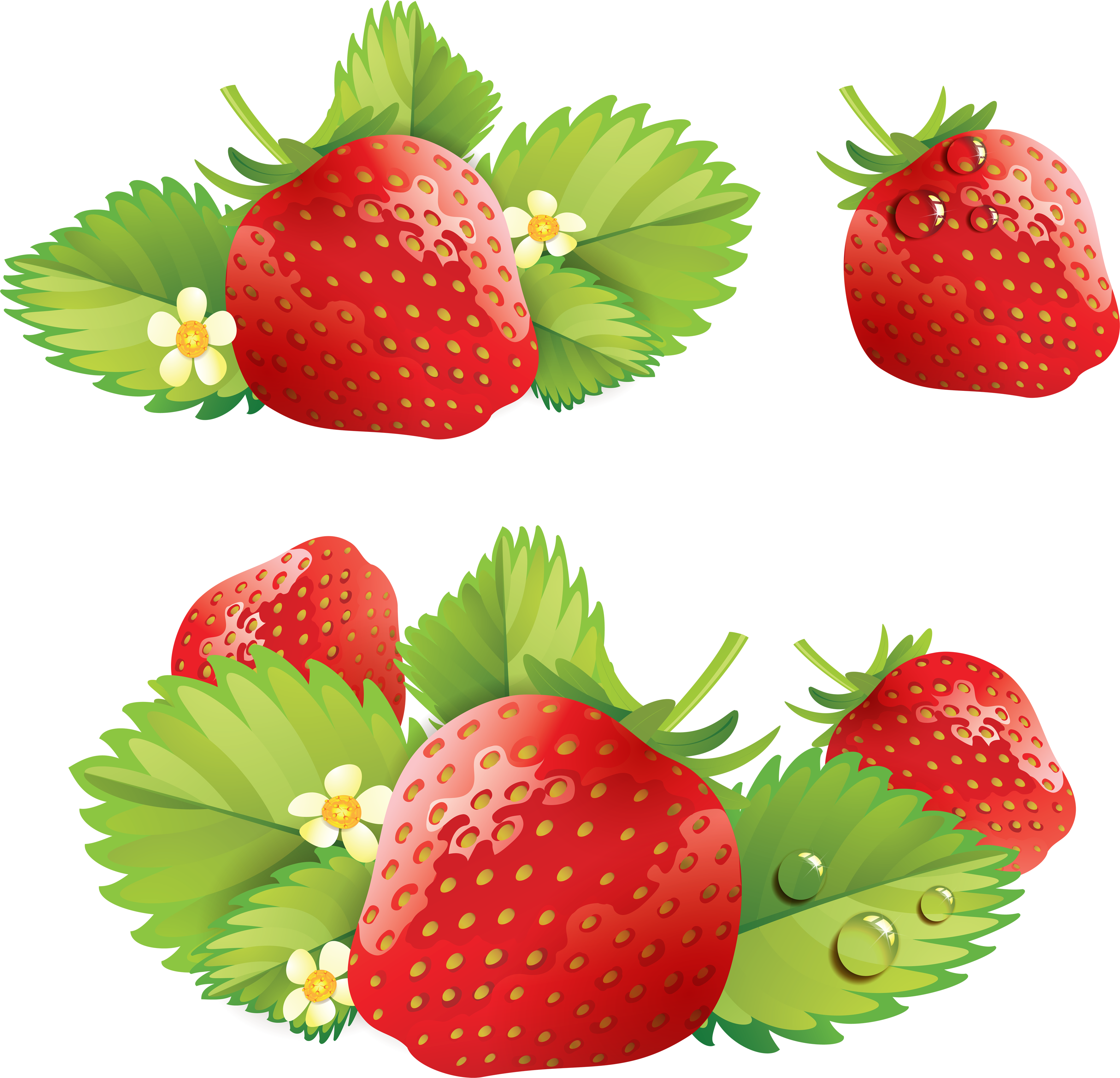 Strawberries with leaves PNG image