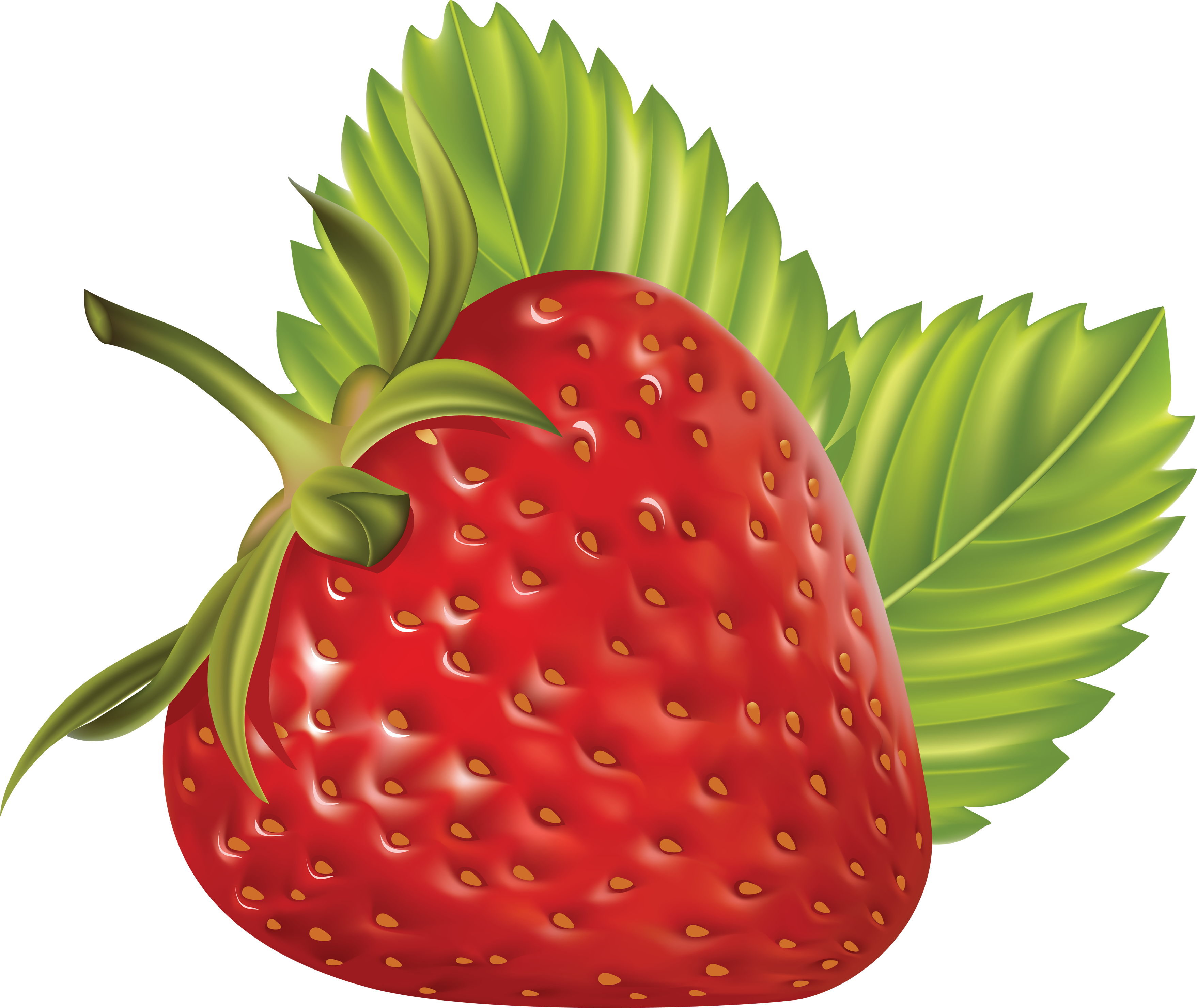 Strawberry with leaves PNG 
