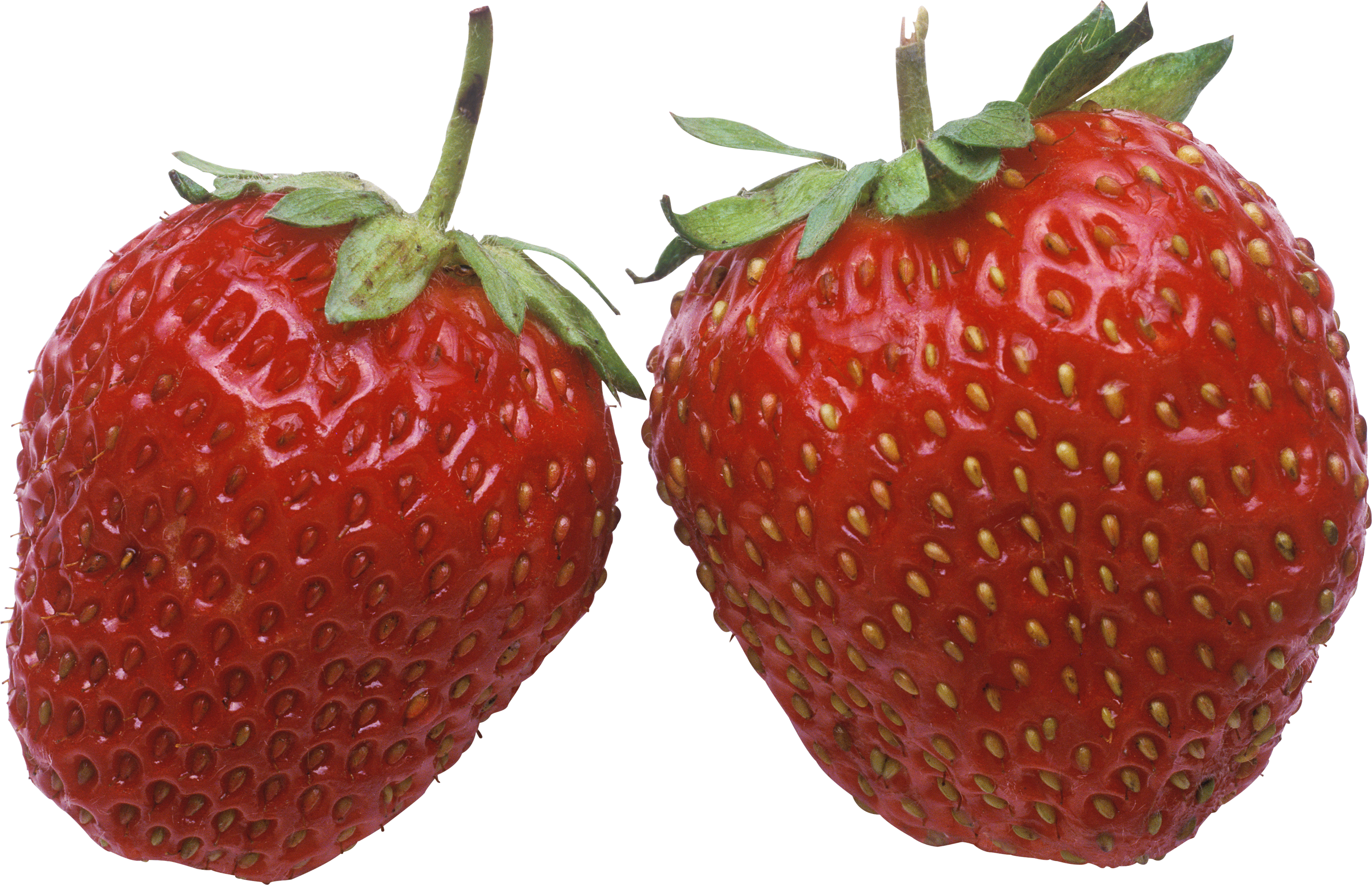 Strawberry photo PNG