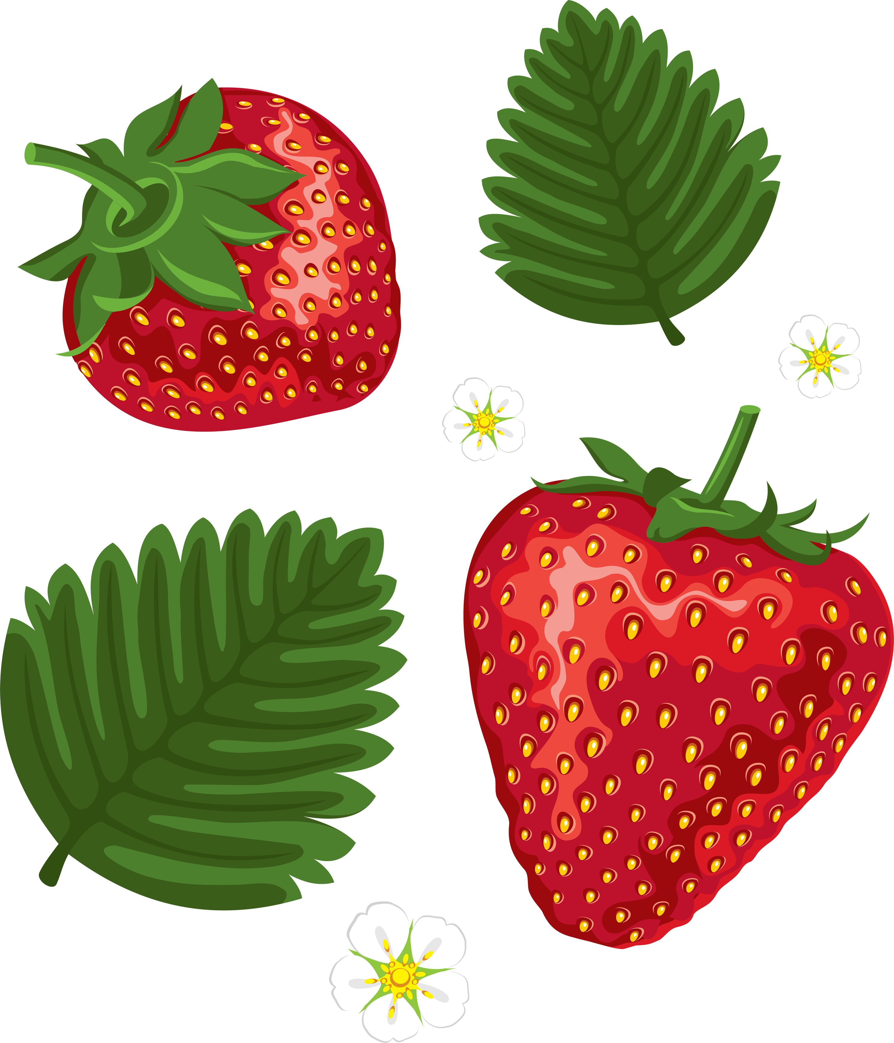 Strawberry with green leaves PNG images