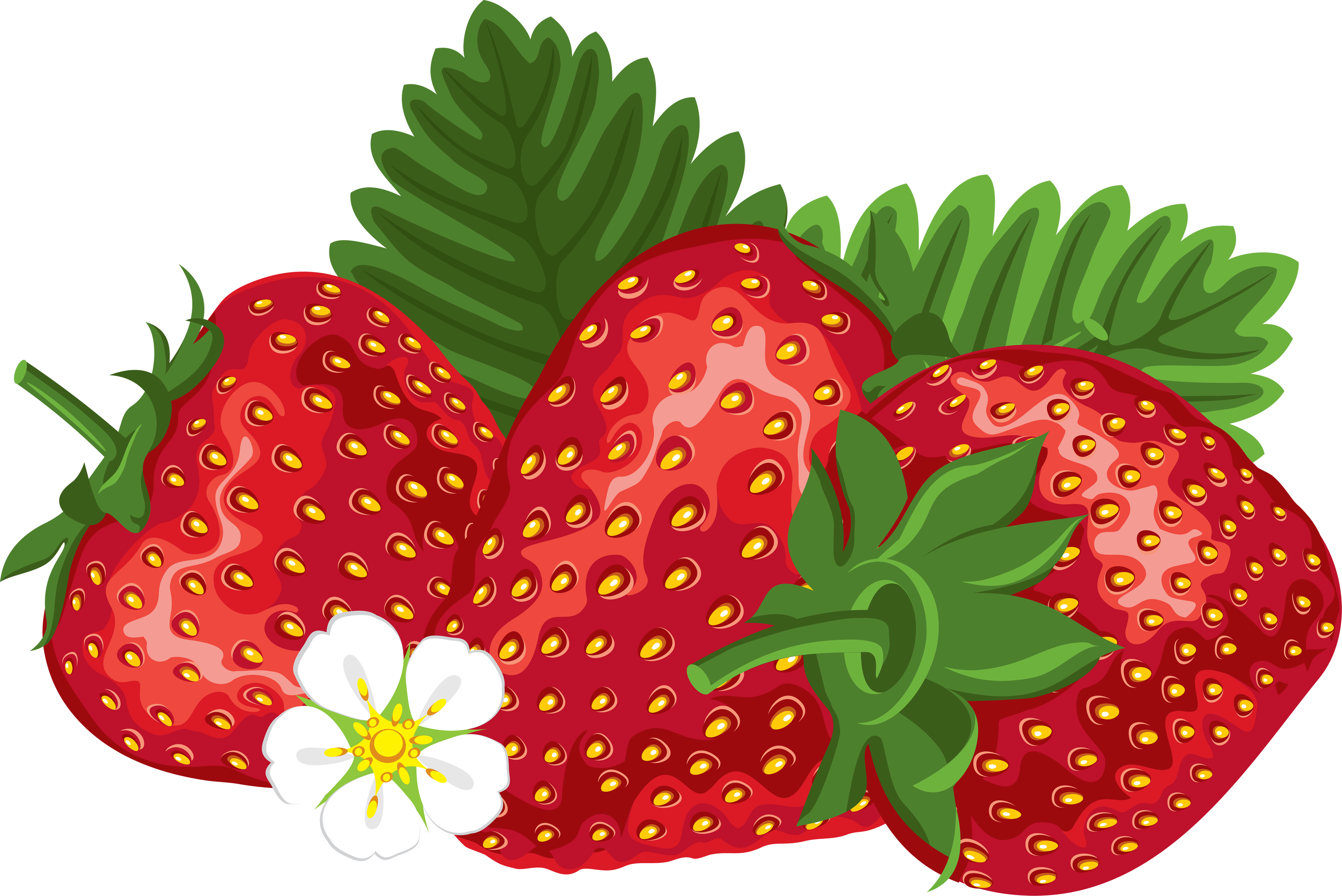 three Strawberries PNG image
