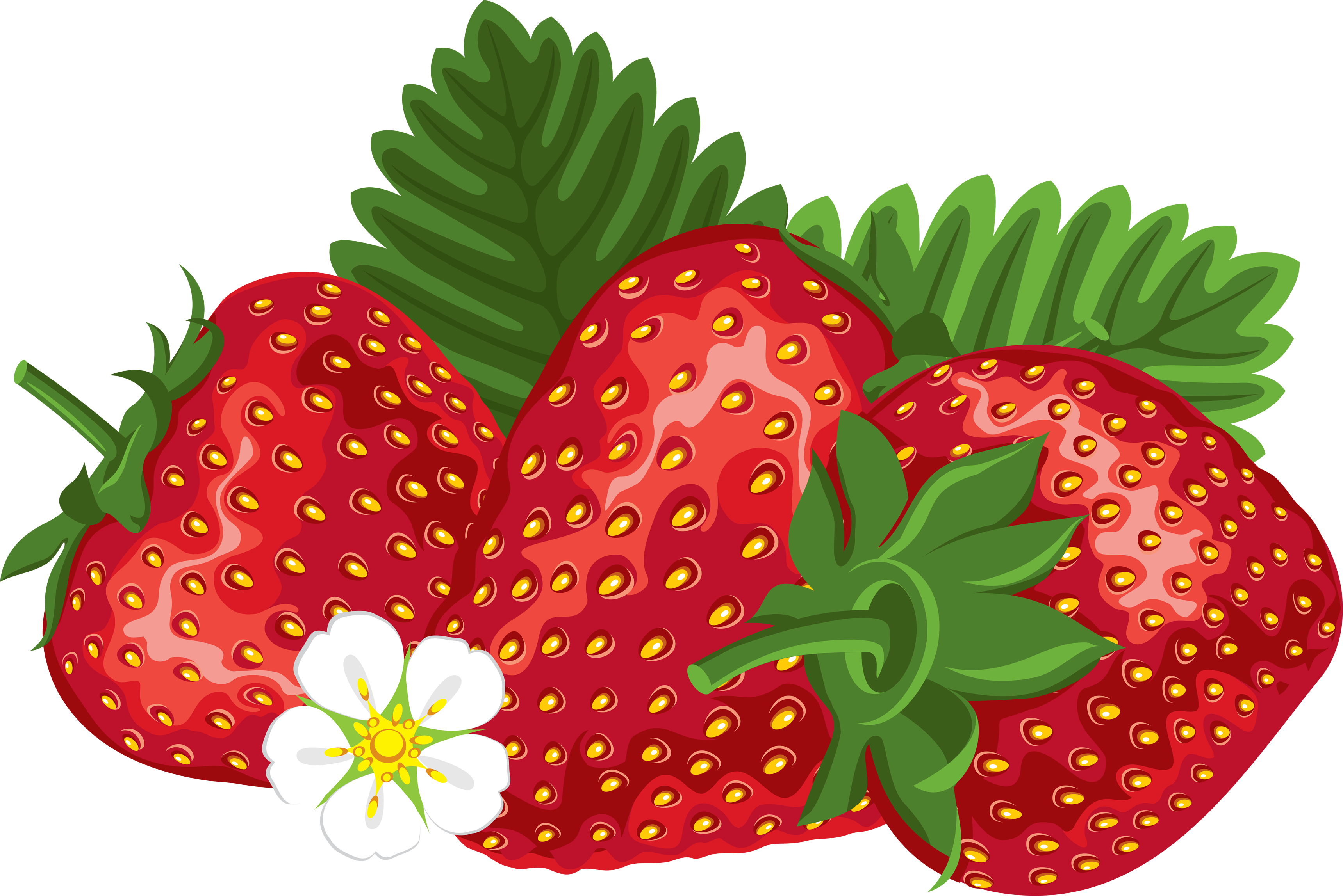 Three Strawberries Png Image Transparent Image Download Size X Px