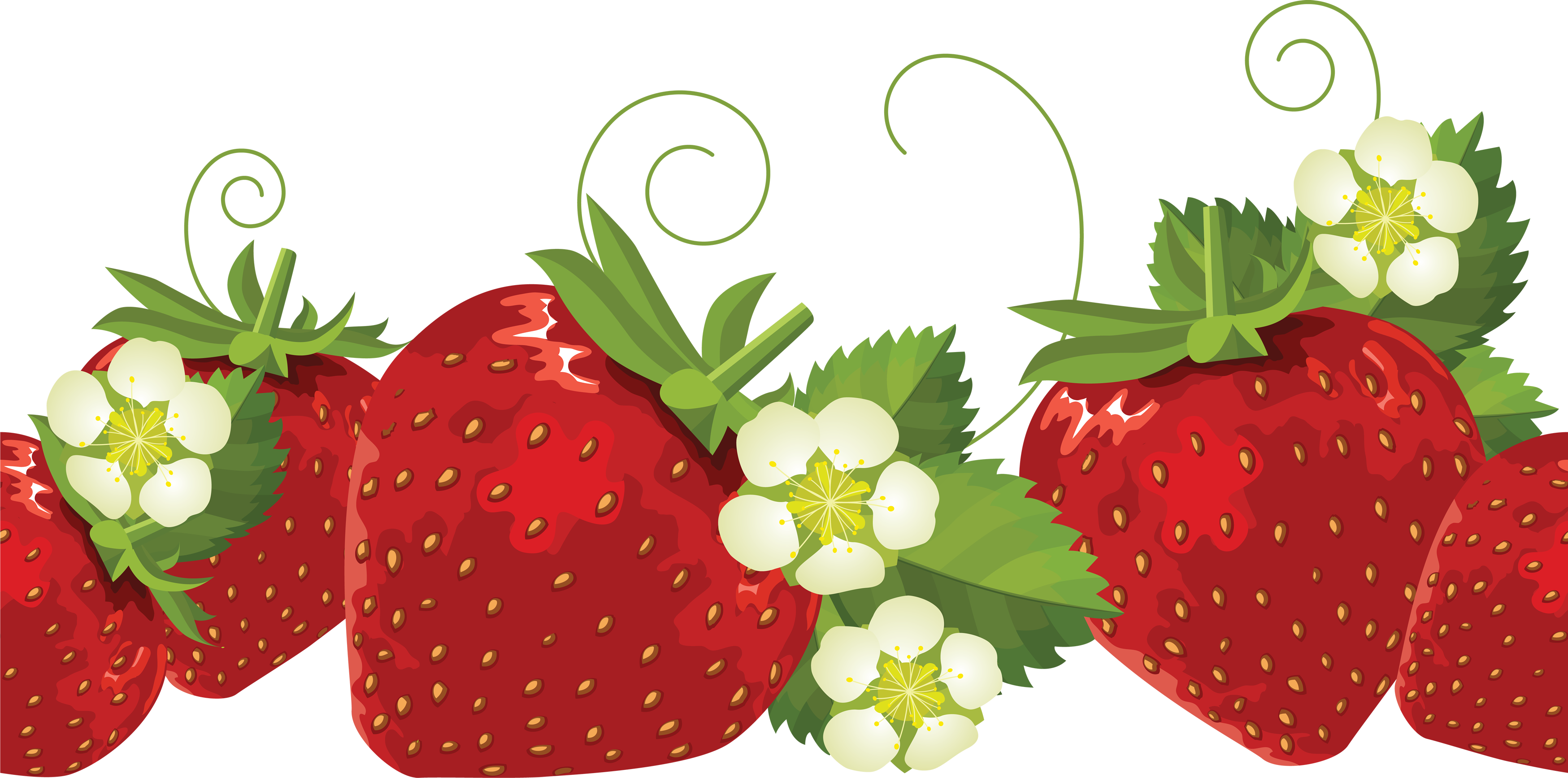 Strawberries PNG 