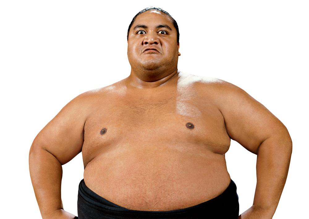 Sumo PNG