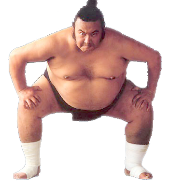 Sumo PNG images Download 
