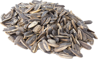 Sunflower seeds PNG