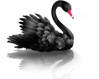 Черный лебедь PNG