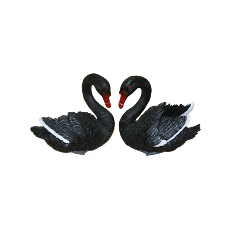 Black swan PNG transparent image download, size: 457x457px