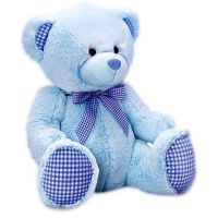 Teddy bear PNG