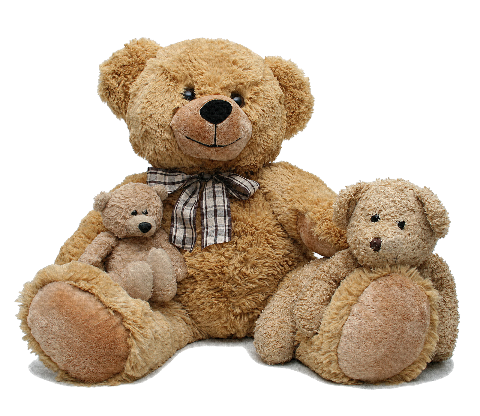 Teddy bear PNG transparent image download, size: 1600x1388px