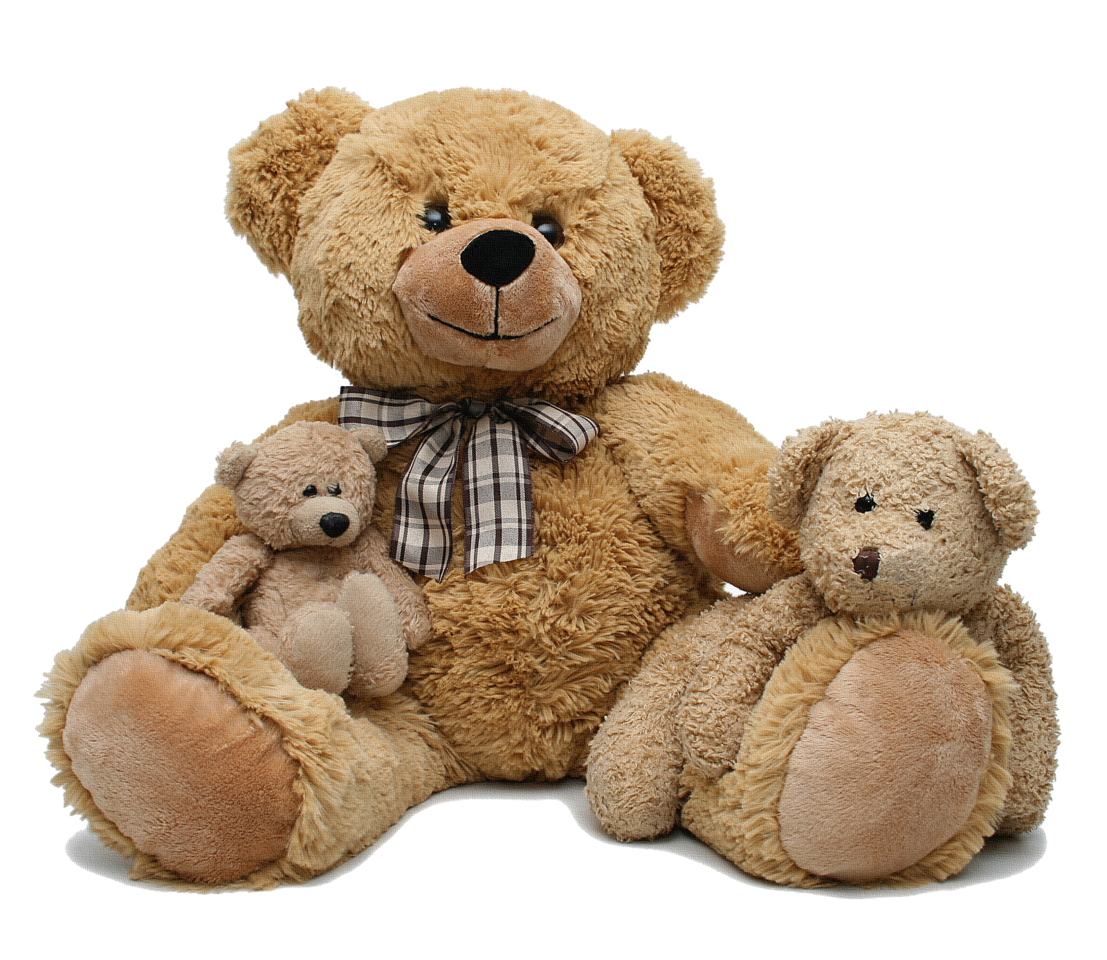 Big Teddy Bear Png Images - Infoupdate.org