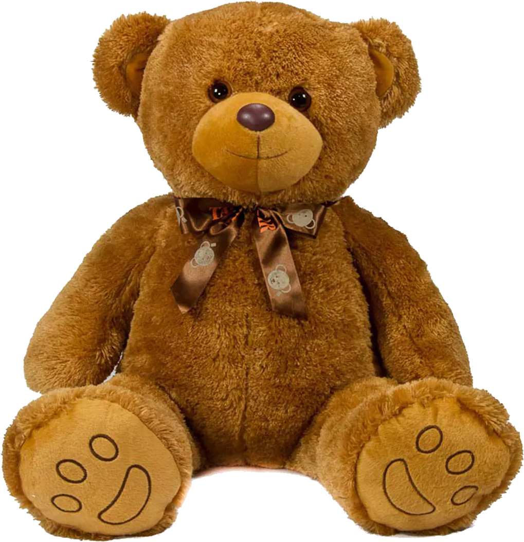 Teddy Bear Png Transparent Image Download Size 1019x1054px