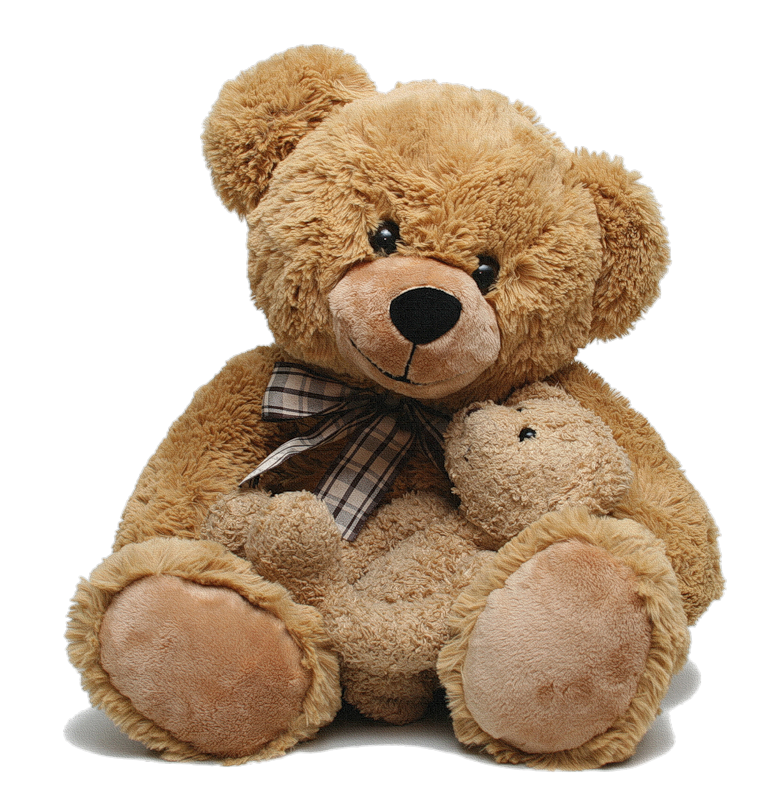 Teddy Bear PNG
