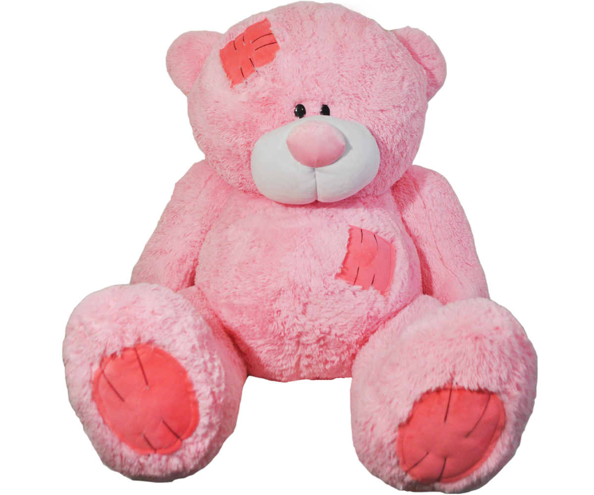 janu teddy bear