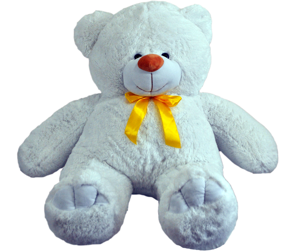 Teddy bear PNG
