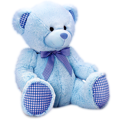Teddy Bear PNG