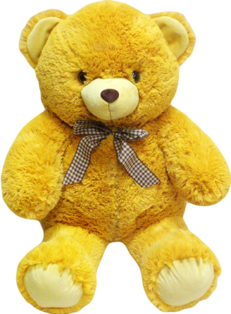 Teddy bear PNG