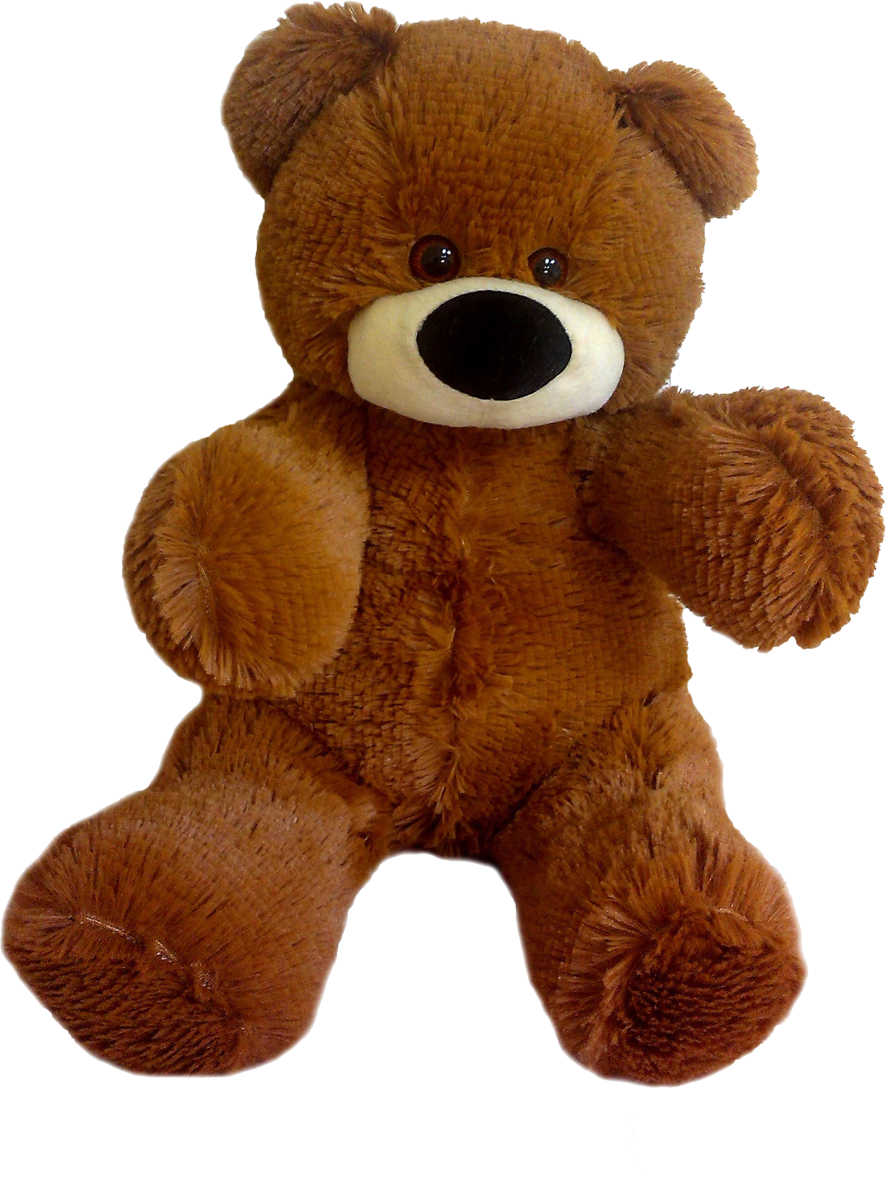 Download Teddy bear PNG
