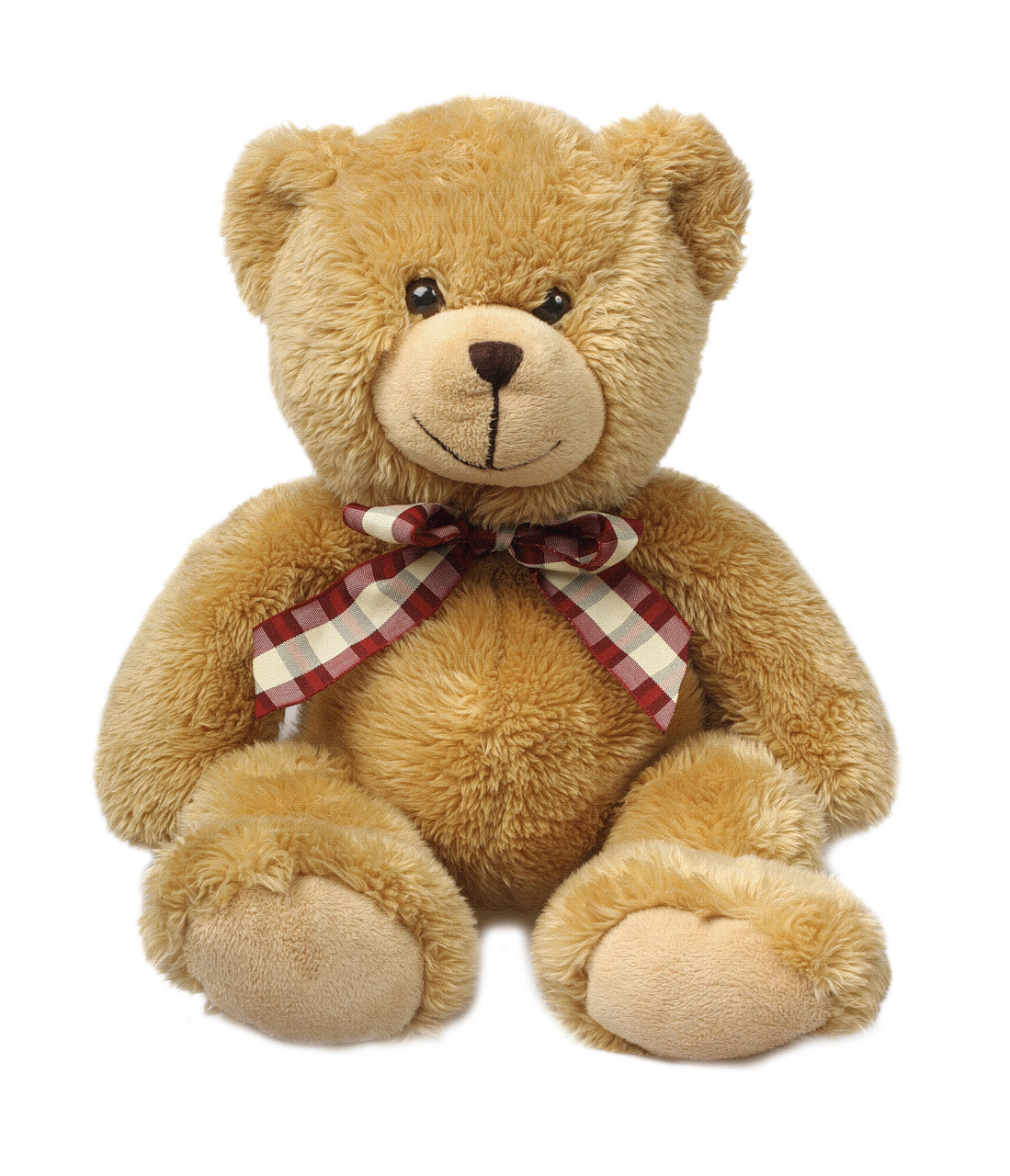 Teddy bear PNG