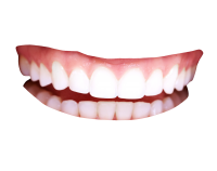 зуб PNG