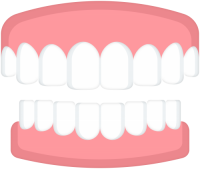 teeth png