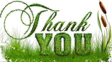 Image result for thank you grass