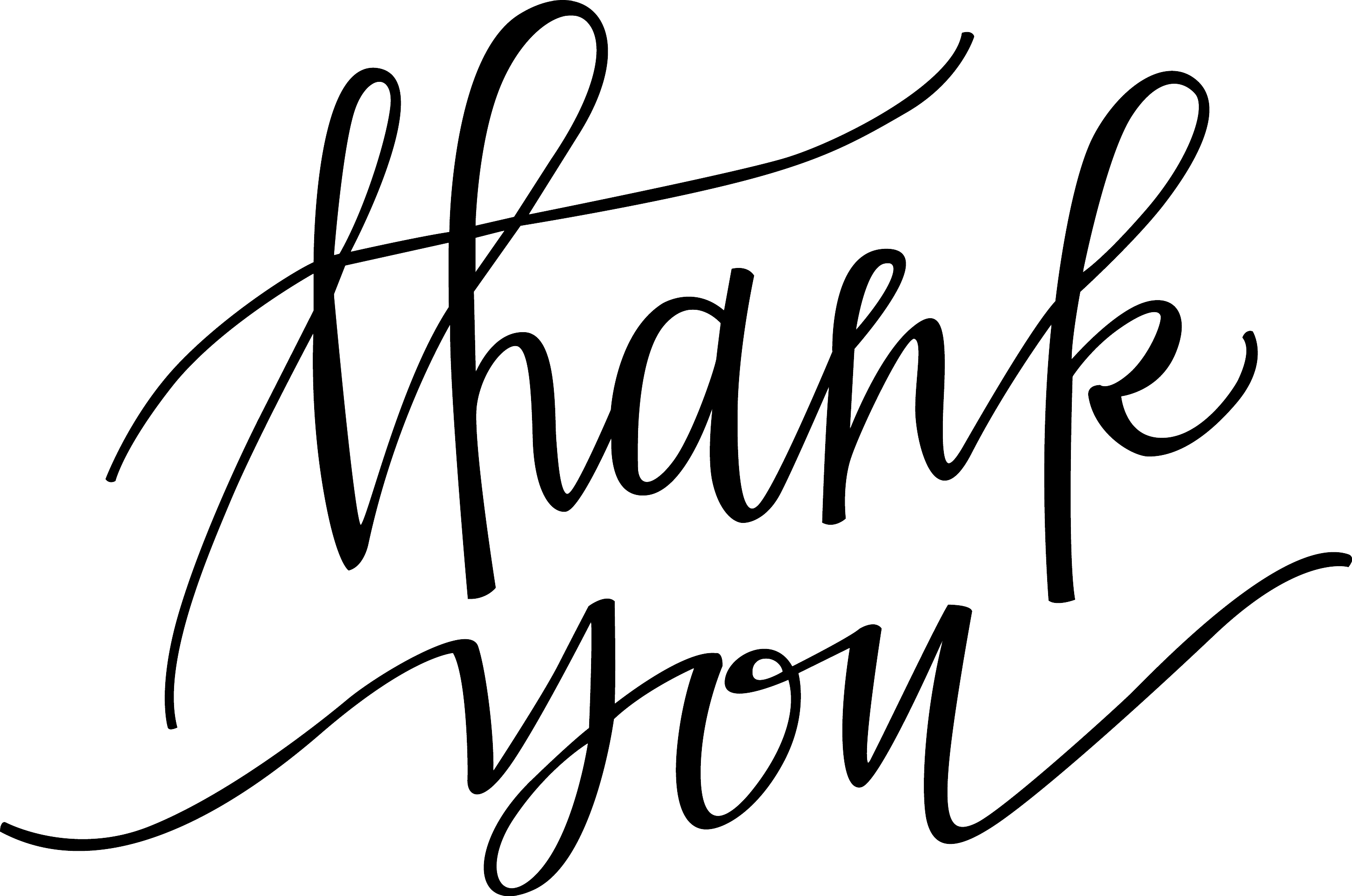 Thank You Png Images Formal Thank You Png Clipart 176 - vrogue.co