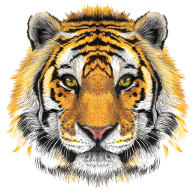 Tiger Head Transparent Clip Art Image transparent PNG picture