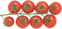 Tomatoes cherry PNG