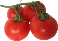 Tomatoes PNG