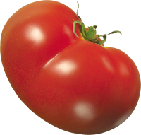 Tomato PNG picture