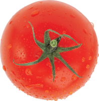 Tomato PNG image transparent