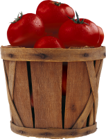 Tomatoes in bucket PNG