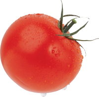 Tomato large red PNG image