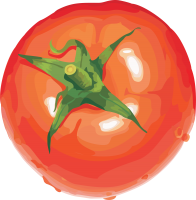 Tomato wet PNG