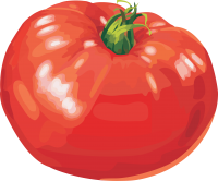 Tomato PNGpicture