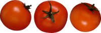 3 tomatoes PNG