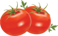 Tomatoes with leaves PNG
