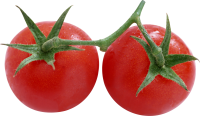 Tomato on branch PNG image