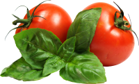 Tomatoes with leaves PNG image