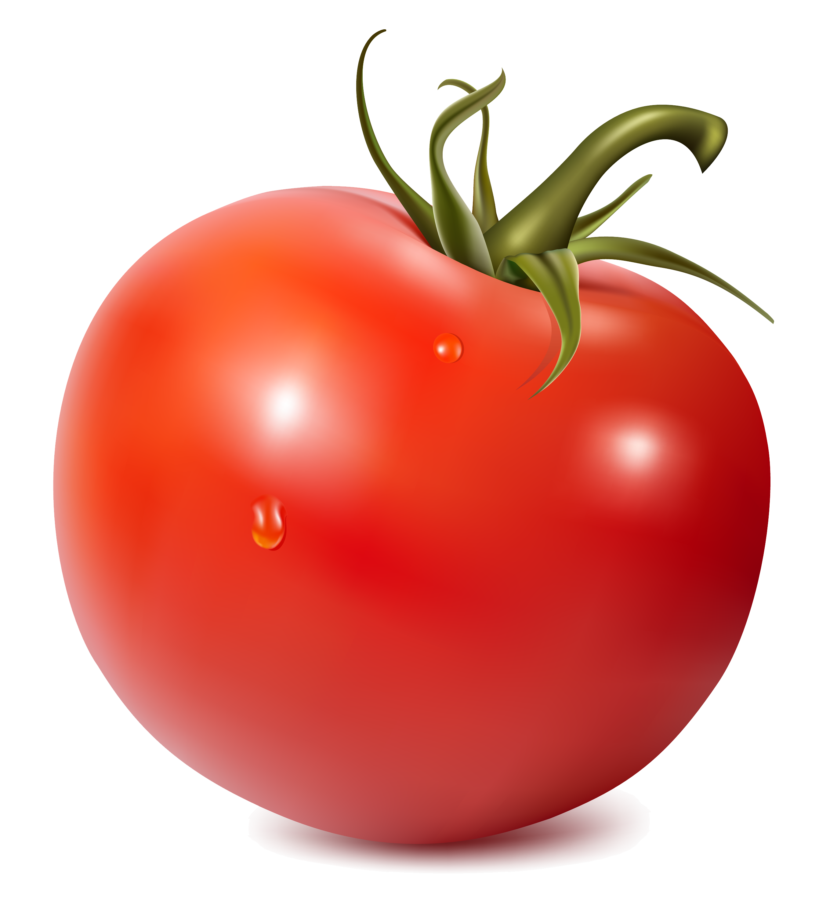 Tomate PNG