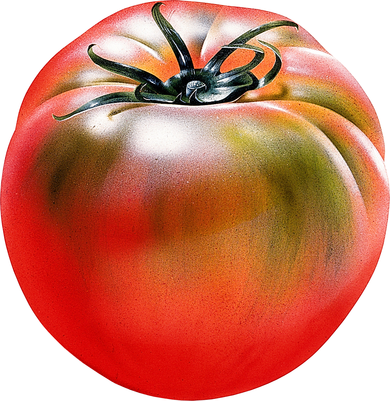 Large freash tomato PNG transparent background