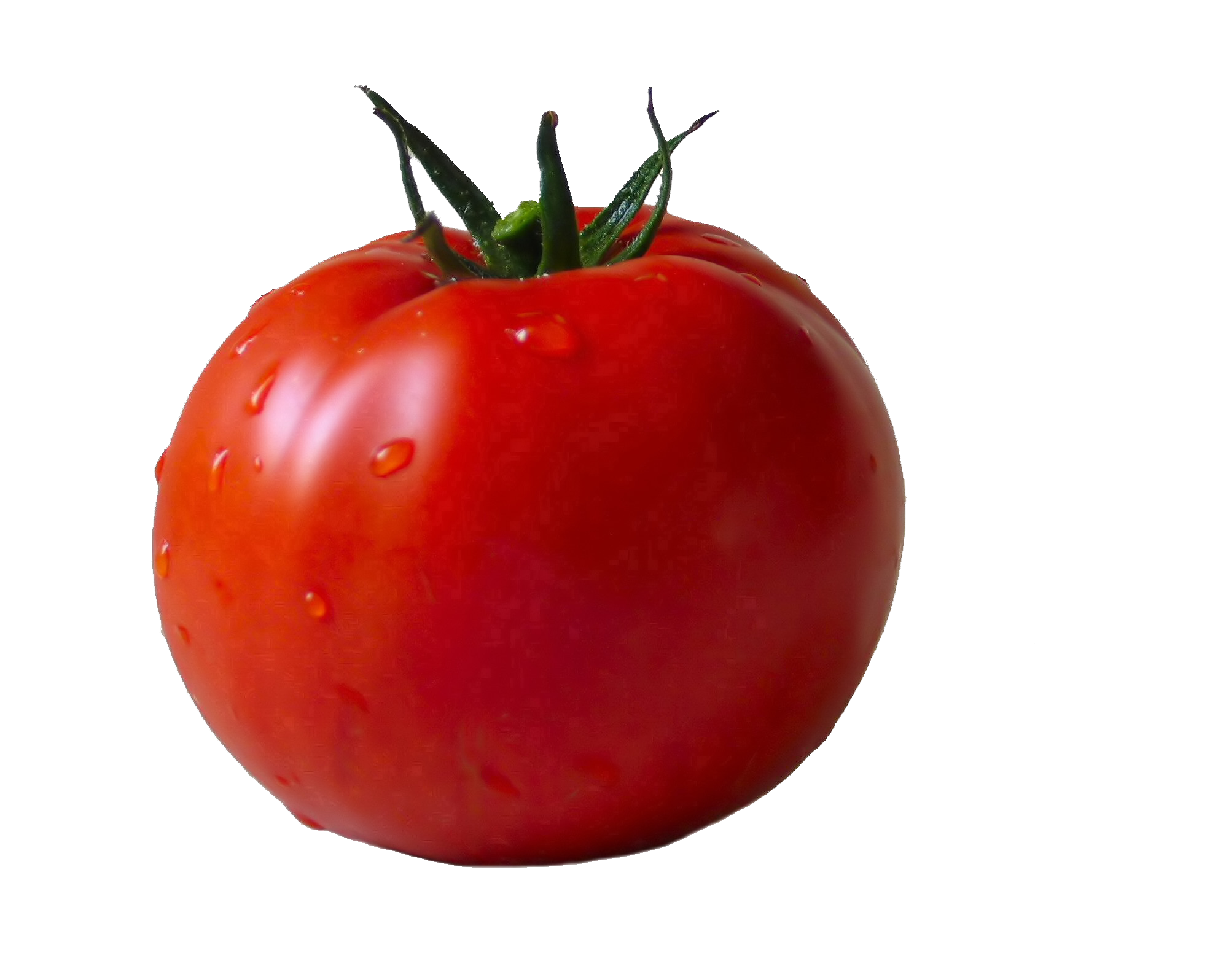 Tomato PNG