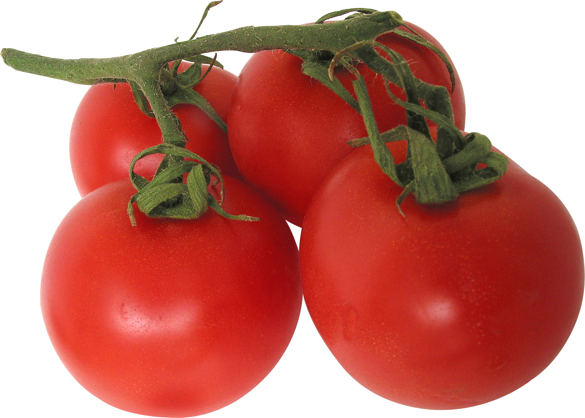 Tomatoes PNG